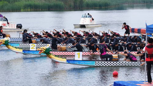 端午文旅消费观察：民俗游“破圈” 赛事游“引流”