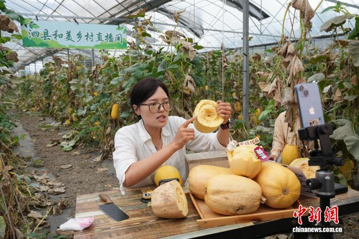 “中国金丝绞瓜之乡”掘金全产业链