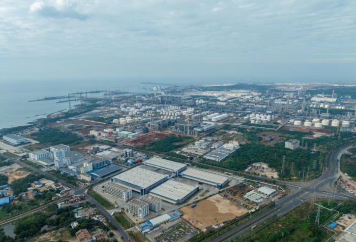 2026年上半年海南出口咖啡产品货值同比增长超八成