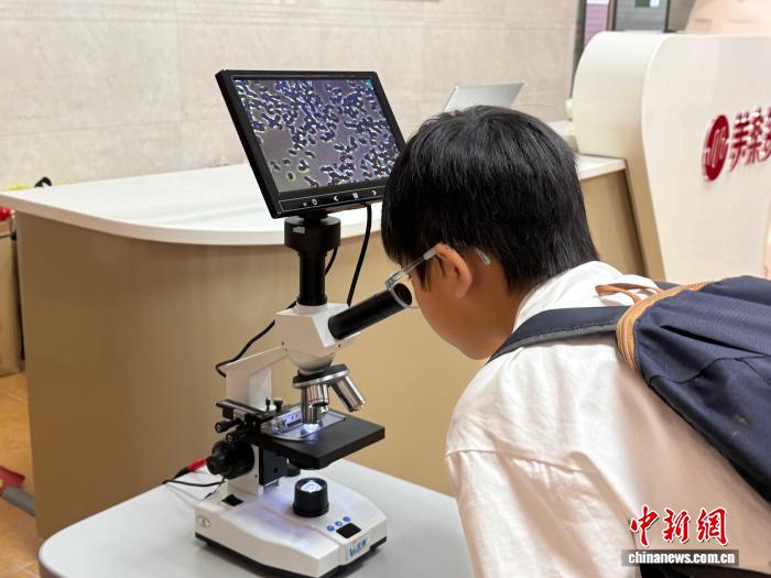 暑期工业研学游热 学生步入智造车间感受人形机器人与机械臂的默契协同